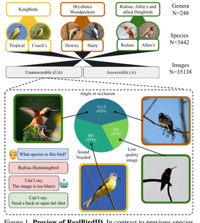 RealBirdID benchmark preview